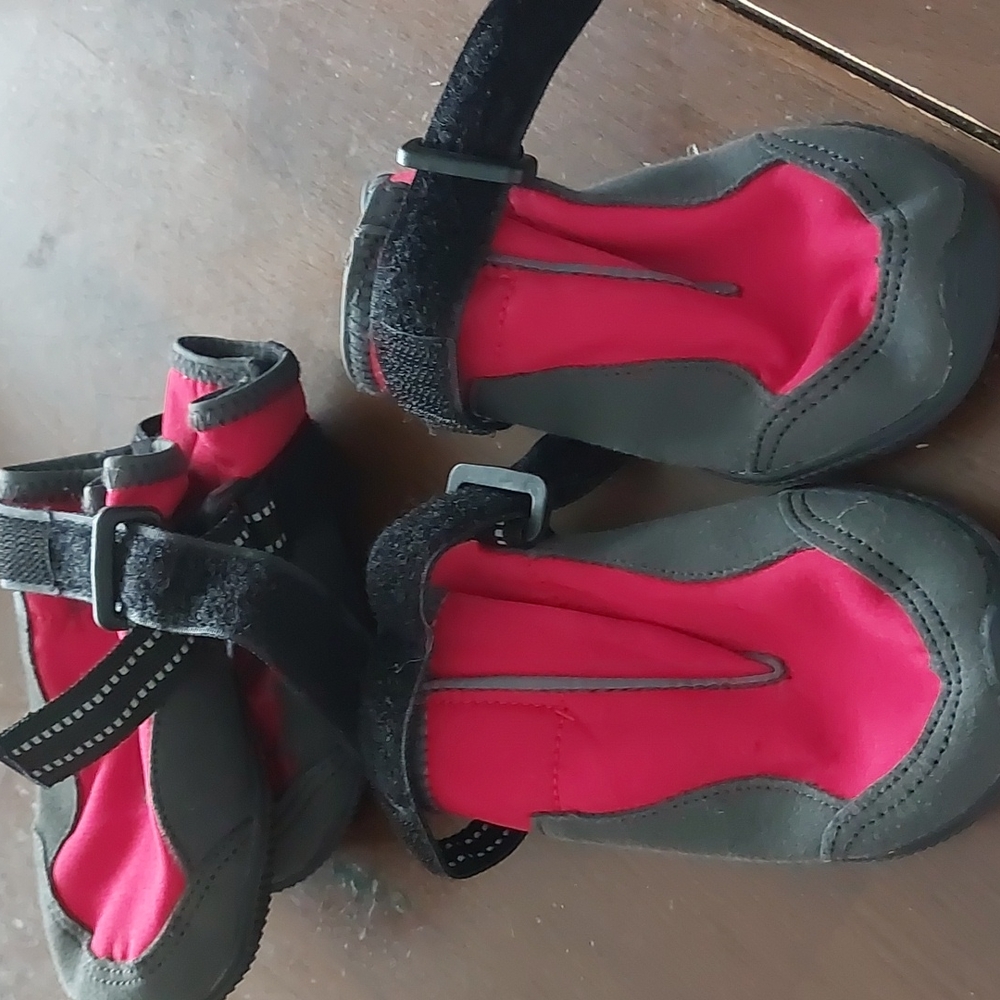 Dog shoes